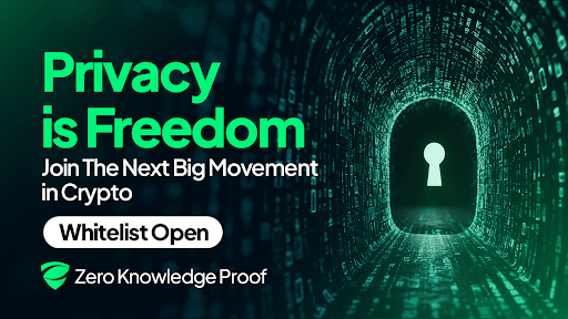 Level Up to 300: Zero Knowledge Proof (ZKP) Is the Best Crypto to Watch - Join Before the Whitelist Closes