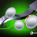 Altcoins Poised for Takeoff: Top 5 Picks Ready for Next 50x Bullish Surge