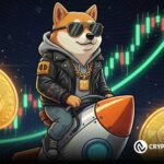 Memecoin Recovery Hits 40% Boost as 5 Coins Stand Out for Aggressive Traders