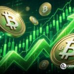 Bitcoin Is Entering the Best Buy Zone of This Cycle