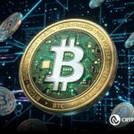 BTC Accumulation Patterns Emerge After $67K Slide