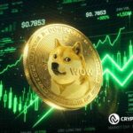 DOGE Divergence Deepens as Weak Demand Clashes With Fresh Speculation