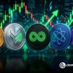 Downturn Opportunity? 100% Recovery Moves Before a Possible 10x Expansion Wave