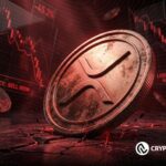 Spot XRP ETFs Attract New Capital After Weeks of Outflows