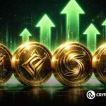 Top Altcoins by Holder Count: Real Adoption Surge — Are These 5 Coins Worth the Risk?