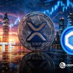 Chainlink and Ripple Enjoy Steady ETF Holdings