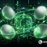 The Setup Looks Identical to Previous Bull Cycles — Are These 5 Altcoins the Smartest Buys Right Now?