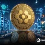 FET Enters Key Accumulation Zone as Analysts Highlight Long-Term Breakout Potential