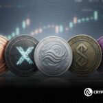 History Doesn’t Repeat, But It Rhymes: 5 Altcoins to Watch as TOTAL3 Approaches a Key Technical Breakout