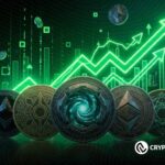 Where Smart Money May Move Next: 5 Altcoins Backed by Usage, Revenue and Emerging Market Strength