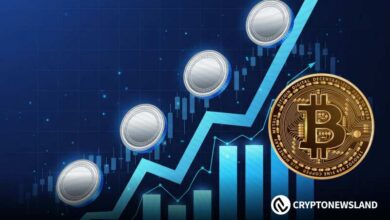 ZEC Surges Back Above $800 on ETF Hopes, Yet Bulls Face a Crucial Test