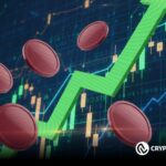 Altcoins to Accumulate in September: BNB, TRX, DOGE