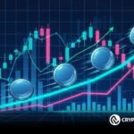 Top 3 Crypto Picks That Could Dominate 2026 — ZEC, DASH, DOGE
