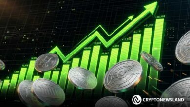 Top 3 Altcoins to Buy Now Before They Catch Up With the Market