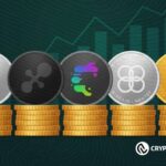 Altcoin Market Hits a 12-Year Opportunity Zone: 5 Coins Worth the Risk Before the Crowd Returns