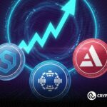 3 High-Cap Altcoins That Could Shine in the Next Bull Run