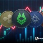 Will Crypto Benefit From a Fed Policy Shift? 4 Altcoins Worth Holding Through Market Uncertainty